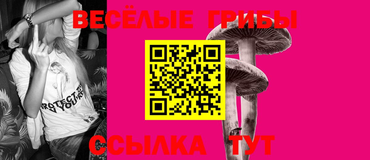 Псилоцибиновые грибы Psilocybine cubensis Унеча